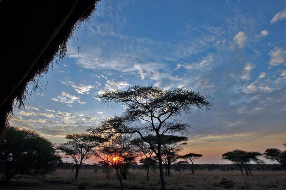 Rafiki Village Watamu Extérieur photo